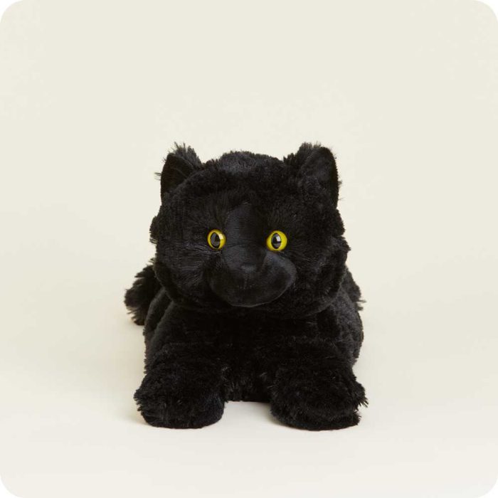 Black Cat - Image 1